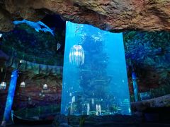 -青岛嘉年华主题乐园