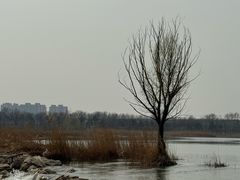 -绿堤公园
