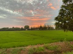-七的湖·晚芳亭·阳澄湖农家菜·大闸蟹(莲花岛店)