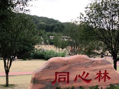 -牛岗山公园