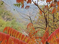 -碓臼峪自然风景区