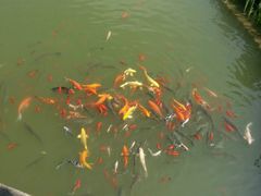 -龙潭水乡