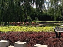 -辛玛王国游乐园