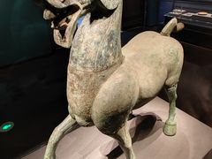 -广西壮族自治区博物馆