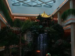 -白天鹅宾馆·流浮阁咖啡厅