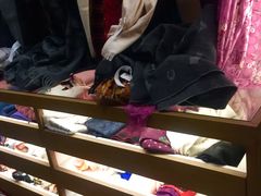 -COACH蔻驰(赛特奥特莱斯店)