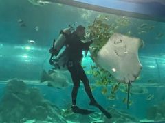 -苏州海洋馆