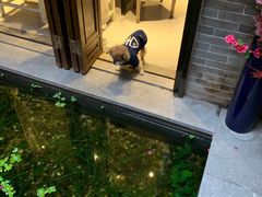 -归觅·西关小姐人文艺术馆(荔枝湾店)