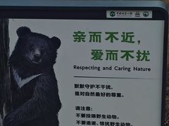 -白马王朗自然风景区