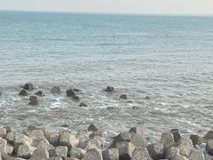 -东堤公园