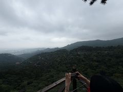 -大芦花风景区