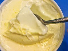 -德禄酸奶(莫家街店)