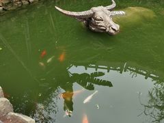 -燊海井