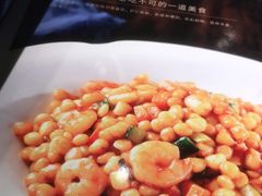 -紫光园·烤鸭·北京菜(劲松店)