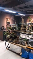 -周忆刺青原创设计定制