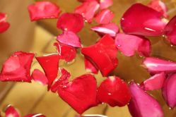 -源素美容养生会所