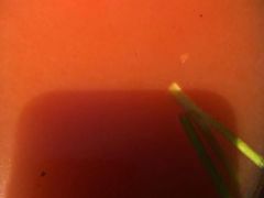 -呷哺呷哺(松江开元店)