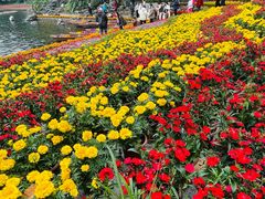 -荔湾湖公园