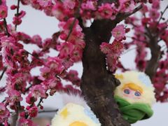 -无锡梅园公园