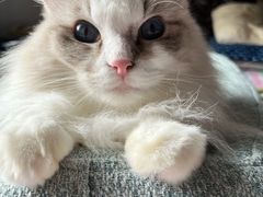 -星巴克臻选(上海合生汇1F店)