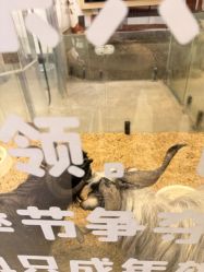 -卡通尼乐园(武商MALL·世贸店)