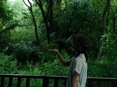 -盘龙城遗址博物院