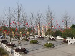 -铁山坪森林公园