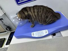 -拜鲁耶动物诊疗中心·宠家动物医院