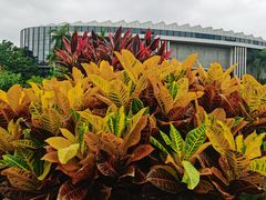 -深圳国际园林花卉博览园