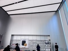 -Apple零售店(新街口店)
