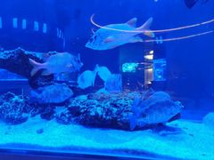 -上和臻品中国菜(花园街店)