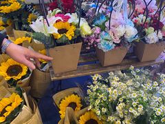 -极客修手机维修·电脑维修·家电维修清洗(城中路店)