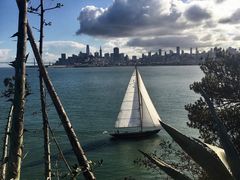 -阿尔卡特拉斯岛