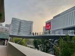 -三里屯东五街银杏大道