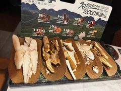 当季野生菌拼盘-芸山季·云南野生菌火锅(人民广场来福士店)