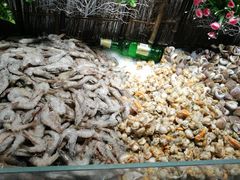 -九寸花汀(摩天活力城店)