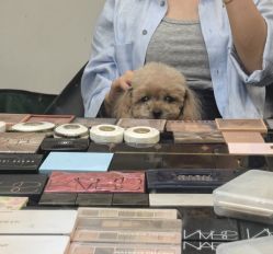 -瞳摄影写真旗舰店