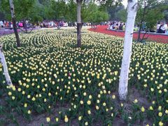 -长春公园(普阳街道)