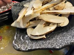 -蘑统田下·野生菌火锅