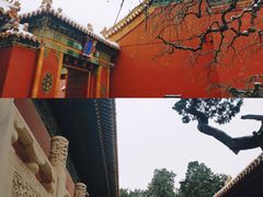 -故宫博物院(故宫)