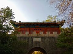 -云岗森林公园