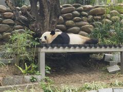 -石排湾郊野公园