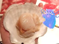 -汤城·料青山