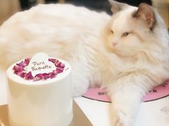 -喵匠猫主题咖啡(凯德和平广场店)