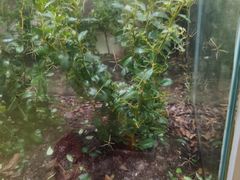 -上海昆虫博物馆