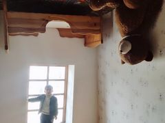-金山农民画村-枫泾波兰倒置屋