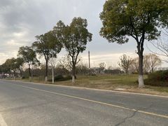 -漕湖湿地公园