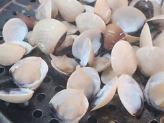 -友口福(大良店)