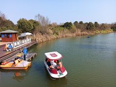 -南湖湿地公园