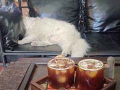 -無鱼咖啡店(淇澳岛店)